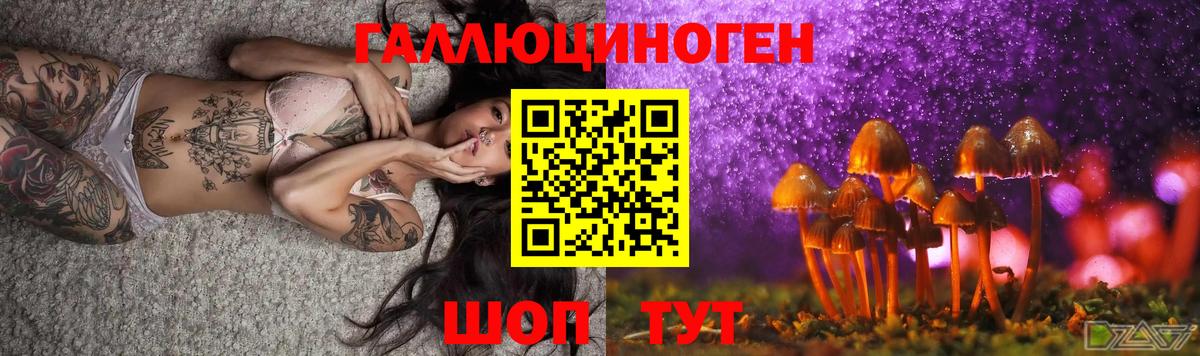 Киржач  Галлюциногенные грибы MAGIC MUSHROOMS  Вход с VPN 